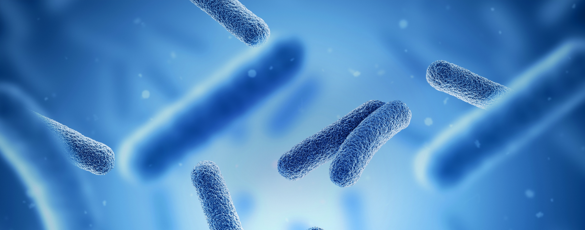 Cell line development